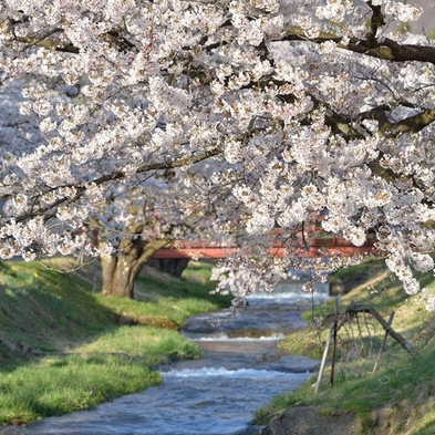 【春のお出かけ応援☆クーポン配布中】桜と新緑の猪苗代へ 東北の名物料理を楽しむバイキングプラン
